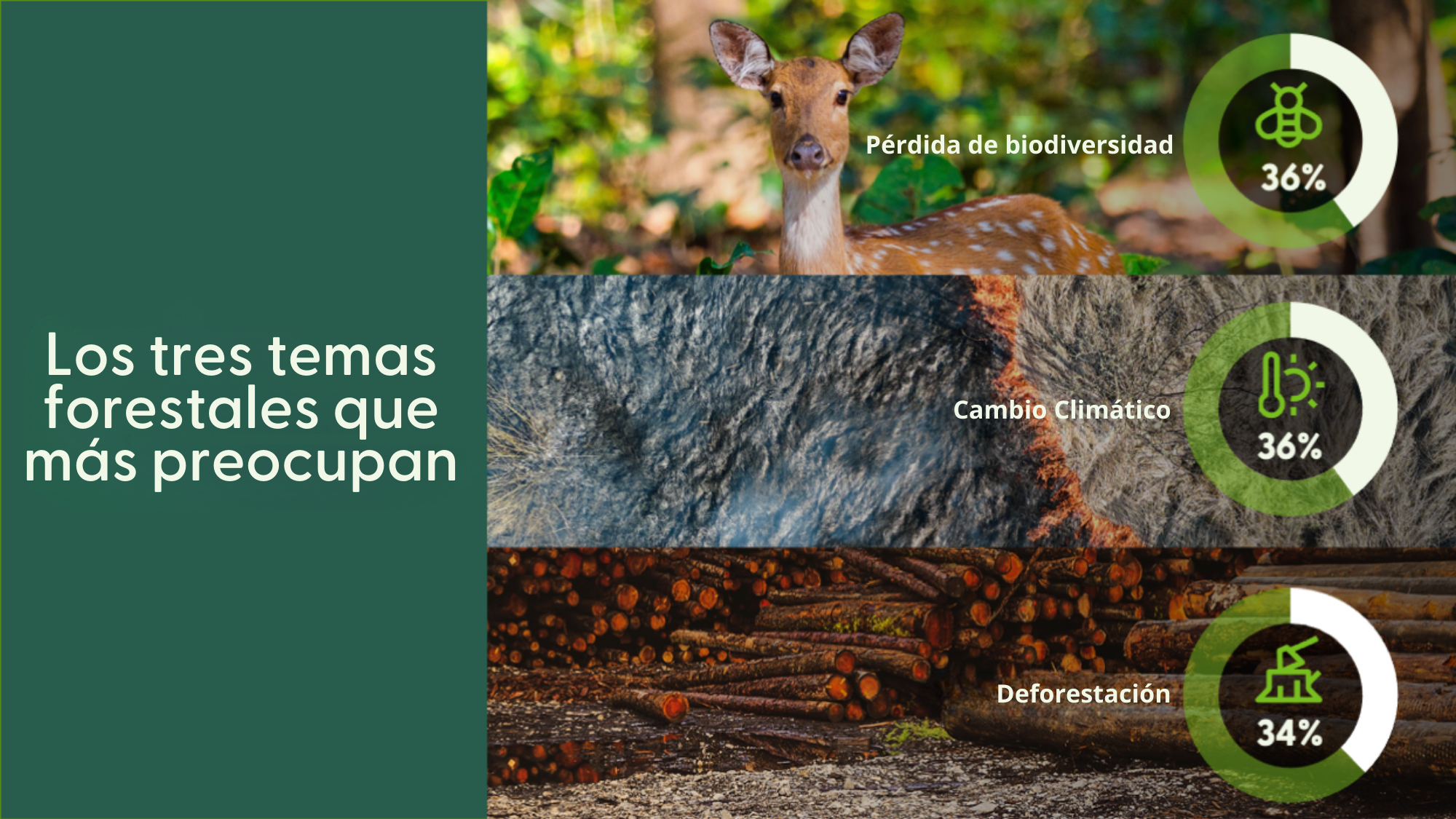 Principales preocupaciones