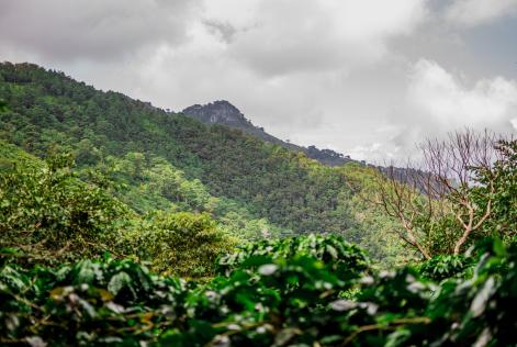 Guatemala