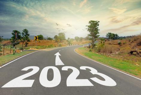 Nuevo año