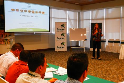 BANPRO Ofrece Créditos Verdes Para Certificación FSC