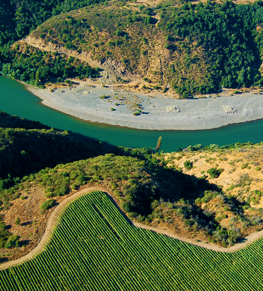 Viña Concha y Toro