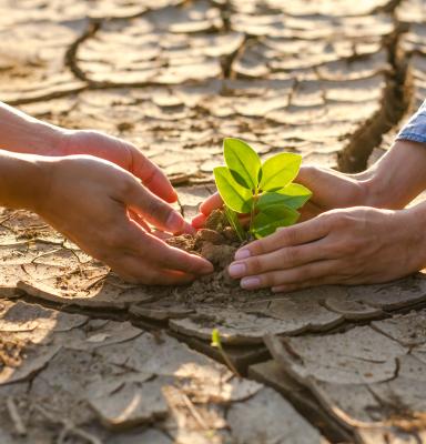 Cambio Climático