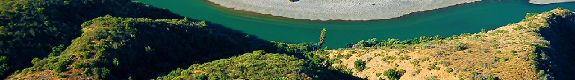 Viña Concha y Toro