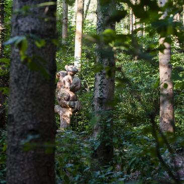 Forest from the Regional Authority for Agriculture and Forestry Services of the Lombardy Region